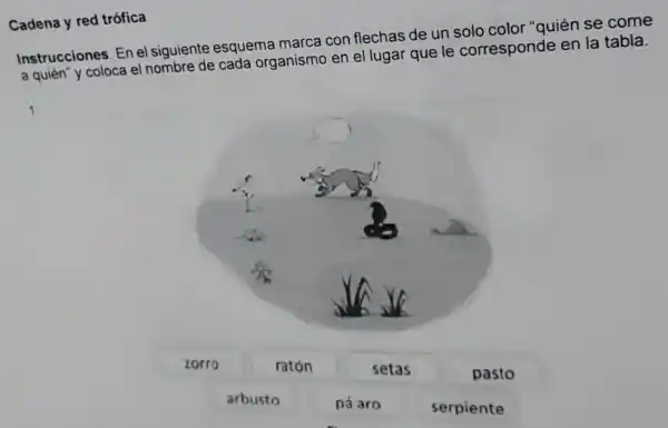 Cadena y red trófica
Instrucciones. En el siguiente esquema marca con flechas de un solo color "quién se come
a quién"y coloca el nombre de cada organismo en el lugar que le corresponde en la tabla.
1
zorro	ratón	setas	pasto
arbusto	pá aro	serpiente