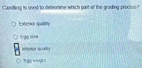 Candling is used to determine which part of the grading process?
Exterior quality
Egg size
B Interior quality
Egg weight