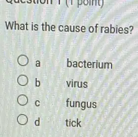 What is the cause of rabies?
a bacterium
b	virus
C	fungus
d	tick