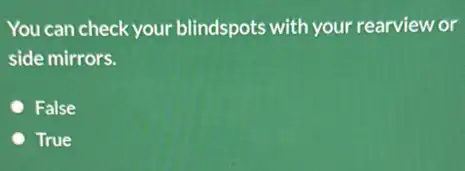 You can check your blindspots with your rearview or
side mirrors.
False
True