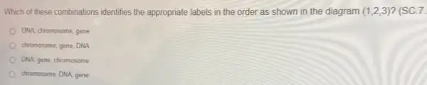 Which of these combinations identifies the appropriate labels in the order as shown in the diagram (1,2,3) ? (SC.7.
DNA, chromosome, gene
chromosome, gene, DNA
DNA, gene, chromosome
chromosome, DNA, gene