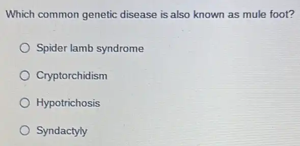 Which common genetic disease is also known as mule foot?
Spider lamb syndrome
Cryptorchidism
Hypotrichosis
Syndactyly