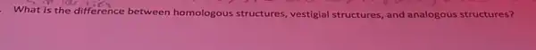 What is the difference between homologous structures, vestigial structures, and analogous structures?