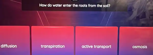 diffusion
How do water enter the roots from the soll?
transpiration
active transport
osmosis