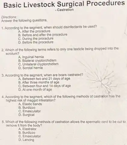 Directions:
Answer the following questions.
Basic Livestock Surgical Procedures
1. According to the segment, when should disinfectants be used?
A. After the procedure
B. Before and after the procedure
C. During the procedure
D. Before the procedure
2. Which of the following terms refers to only one testicle being dropped into the
scrotum?
A. Inguinal hemia
B. Bilateral cryptorchidism
C. Unilatera cryptorchidism
D. Scrotal hemia
3. According to the segment, when are boars castrated?
A. Between two and 21 days of age
B. After three months of age
C. Between four and 14 days of age
D. At one month of age
4. According to the segment, which of the following methods of castration has the
highest risk of maggot Infestation?
A. Elastic bands
B.Burdizzo
C. Emasculator
D.Surgical
5. Which of the following methods of castration allows the spermatic cord to be cut to
remove it from the body?
A. Elastrator
B.Burdizzo
C. Emasculator
D Lancing