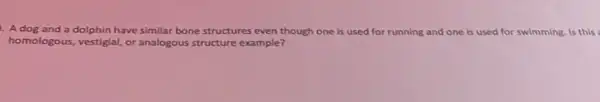 A dog and a dolphin have similar bone structures even though one is used for running and one is used for swimming. Is this
homologous, vestigial, or analogous structure example?