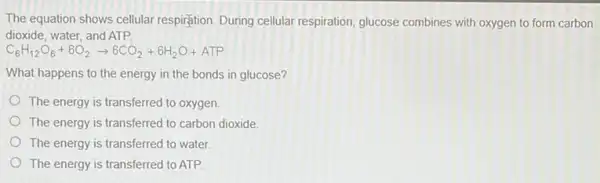 The equation shows cellular respiration. During cellular respiration, glucose combines with oxygen to form carbon
dioxide, water, and ATP.
C_(6)H_(12)O_(6)+6O_(2)arrow 6CO_(2)+6H_(2)O+ATP
What happens to the energy in the bonds in glucose?
The energy is transferred to oxygen
The energy is transferred to carbon dioxide
The energy is transferred to water
The energy is transferred to ATP.