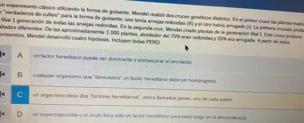 In experimento clásico utilizando la forma de guisante, Mendel realizó dos cruces genéticos distintos. En el primer cruce las plantas madre
''verdaderos de cultivo" para la forma de guisante; uno tenía arvejas redondas (R)yel otro había arrugado (r). La primera cruzada produ
filial 1 generación de todas las arvejas redondas En la segunda cruz Mendel criado plantas de la generación filial 1 Este cruce produce
Itados diferentes. De las aproximadamente 1.000 plantas, alrededor del 75%  eran redondas y 25%  era arrugada. A partir de estos
erimentos, Mendel desarrolló cuatro hipótesis Incluyen todas PERO
x
A
n
un factor hereditario puede ser dominante y enmascarar el otro factor.
B
cualquier organismo que "demuestra" un factor hereditario debe ser homocigotos.
un organismo tiene dos "factores hereditarios", ahora Illamados genes, uno de cada padre.
x
D
un espermatozoide o el óvulo lleva sólo un factor hereditario para cada rasgo en la descendencia.