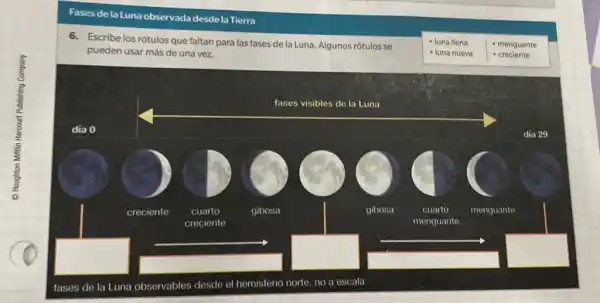 Fasesdela Luna observada desde la Tierra
6.Escribe los rótulos que faltan para las fases de la Luna. Algunos rótulos se
pueden usar más de una vez.
- luna llena
- luna nueva
- menguante
- creciente
dia 0
square 
square 
square 
fases de la Luna observables desde el hemisferio norte, no a escala