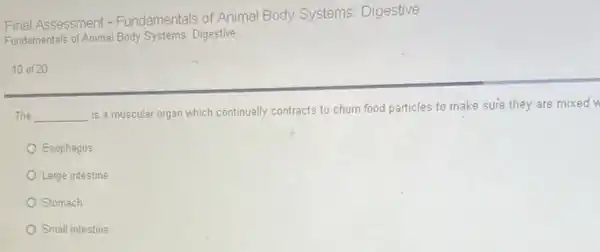 Final Assessment -Fundamentals of Animal Body Systems: Digestive
Fundamentals of Animal Body Systems: Digestive
10 of 20
The __
is a muscular organ which continually contracts to churn food particles to make sure they are mixed
Esophagus
Large intestine
Stomach
Small intestine