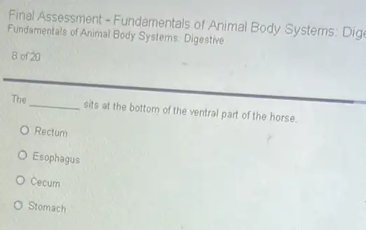 Final Assessment - Fundamentals of Animal Body Systems: Dig
Fundamentals of Animal Body Systems: Digestive
8 of 20
The __ sits at the bottom of the ventral part of the horse.
Rectum
Esophagus
Cecum
Stomach