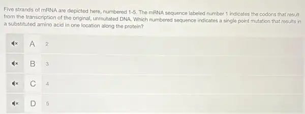 Five strands of mRNA are depicted here, numbered 1-5 The mRNA sequence labeled number 1 indicates the codons that result
from the transcription of the original, unmutated DNA.Which numbered sequence indicates a single point mutation that results in
a substituted amino acid in one location along the protein?
A
2
B
3
C
4
D
5