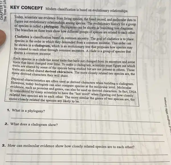 Fo
KEY CONCEPT Modem classification is based on evolutionary relationships.
Today, scientists use evidence from living species, the fossil record, and molecular data to
figure out evolutionary relationships among species. The evolutionary history for a group
of species is called a phylogeny. Phylogenies can be shown as branching tree diagrams.
The branches on these trees show how different groups of species are related to each other.
Cladistics is classification based on common ancestry. The goal of cladistics is to place
species' in the order in which they descended from'a common ancestor.This order can
be shown in a cladogram, which is an evolutionary tree that proposes how species may
be related to each other through common ancestors A clade is a group of species that
shares a common ancestor.
Each species in a clade has some traits that have not changed from its ancestors and some
traits that have changed over time. To make a cladogram, scientists must figure out which
traits are shared by some of the species being studied but are not present in others.These
traits are called shared derived characters. The more closely related two species are,the
more derived characters they will share.
Physical characteristics are often used as derived characters when building a cladogram.
However, today biologists can also compare species at the molecular level. Molecular
evidence, such as proteins and genes, can also be used as derived characters. In fact, DNA
is considered by many scientists to have the "last word" when figuring out how closely
related two species are to each other. The more similar the genes of two species are the
more'closely related the species are likely to be.
1. What is a phylogeny?
2. What does a cladogram show?
__
3. How can molecular evidence show how closely related species are to each other?
__