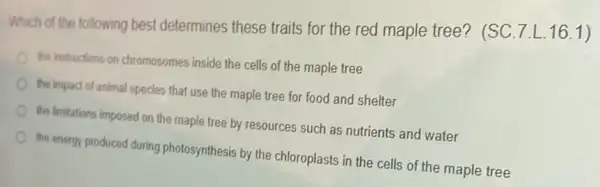 Which of the following best determines these traits for the red maple tree? (SC 7.L.16.1)
the instructions on chromosomes inside the cells of the maple tree
the impact of animal species that use the maple tree for food and shelter
the limitations imposed on the maple tree by resources such as nutrients and water
the energy produced during photosynthesis by the chloroplasts in the cells of the maple tree