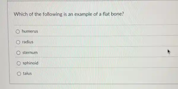 Which of the following is an example of a flat bone?
humerus
radius
sternum
sphinoid
talus