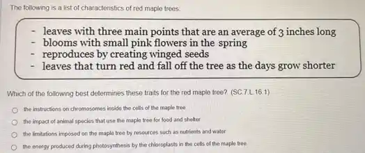 The following is a list of characteristics of red maple trees:
leaves with three main points that are an average of 3 inches long
- blooms with small pink flowers in the spring
reproduces by creating winged seeds
- leaves that turn red and fall off the tree as the days grow shorter
Which of the following best determines these traits for the red maple tree? (SC.7.L.161)
the instructions on chromosomes inside the cells of the maple tree
the impact of animal species that use the maple tree for food and shelter
the limitations imposed on the maple tree by resources such as nutrients and water
the energy produced during photosynthesis by the chloroplasts in the cells of the maple tree