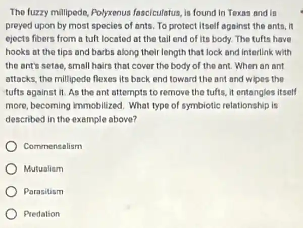The fuzzy millipedo,Polyxenus fasciculatus, is found in Toxas and is
preyed upon by most species of ants. To protect itself against the ants, it
ejects fibers from a tuft located at the tall end of its body.The tufts have
hooks at the tips and barbs along their length that lock and Interlink with
the ant's setoo, small hairs that cover the body of the ant.When an ant
attacks, the millipedo flexes its back end toward the ant and wipes the
tufts against it. As the ant attempts to remove the tufts, it entangles itself
more, becoming Immobilized. What type of symbiotic relationship Is
described in the example above?
Commensalism
Mutualism
Parasitism
Predation