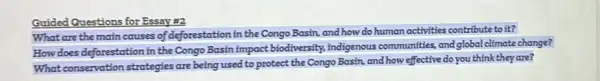 Guided Questions for Essay 82
What are the main causes of deforestation in the Congo Basin, and how do human activities contribute to it?
How does deforestation in the Congo Basin impact biodiversity, indigenous communities, and global climate change?
What conservation strategies are being used to protect the Congo Basin and how effective do you think they are?