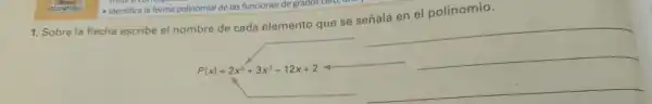 - Identifica la forma polinomial de las funciones de grados cero, t
1. Sobre la flecha escribe el nombre de cada elemento que se señala en el polinomio.
P(x)=2x^5+3x^3-12x+2
__ __
__