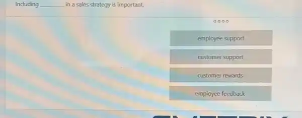 Induding __ in a sales strategy is important.
0000
employee support
customer support
customer rewards
employee feedback