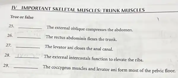 IV IMPORTANT SKELETAL MUSCLES: TRUNK MUSCLES
True or false
25. __
The external oblique compresses the abdomen.
26. __ The rectus abdominis flexes the trunk.
27. __
The levator ani closes the anal canal.
28. __
The external intercostals function to elevate the ribs.
29. __
The coccygeus muscles and levator ani form most of the pelvic floor.