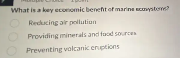 What is a key economic benefit of marine ecosystems?
Reducing air pollution
Providing minerals and food sources
Preventing volcanic eruptions