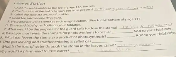 Leaves Station
1. Add the leaf foldable to the top of page 117. See pics
2. The function of the leaf is to carry out what process?
__
3. Label the stomata on your foldable.
4.Read the microscope directions.
5. View and draw the stoma at each magnification.Glue to the bottom of page 117.
6. Draw and label guard cells on your foldable.
7. What would be the purpose for the guard cells to close the stoma?
__
8.What gas must enter the stomata for photosynthesis to occur?
__ Add to your
9. What gas leaves the stoma as a product of photosynthesis? __
Add to your foldable.
gas leaving and another entering is called gas __
is the loss of water through the stoma in the leaves called?
__
would a plant need to lose water?
__