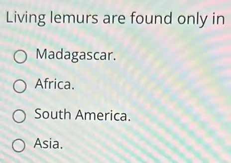 Living lemurs are found only in
Madagascar.
Africa.
South America.
Asia.