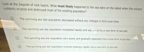 Look at the diagram of rock layers. What most likely happened to the sea stars on the island when the volcano
suddenly erupted and destroyed most of the existing population?
A
The surviving sea star population decreased without any changes in form over time.
The surviving sea star population multiplied rapidly and was joined by a new form of sea star.
C The surviving sea star population very slowly and gradually separated into a new form of sea star.
D The surviving sea star population evolved relatively rapidly into a new form of sea star.