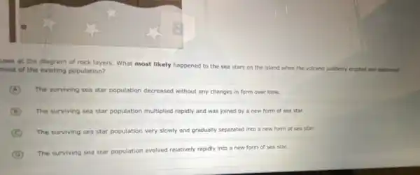 Look at the diagram of rock layers. What most likely happened to the sea stars on the island when the volcano suddenly erupted and destroyed
most of the existing population?
A The surviving sea star population decreased without any changes in form over time.
B The surviving sea star population multiplied rapidly and was joined by a new form of sea star.
C The surviving sea star population very slowly and gradually separated into a new form of sea star.
D
The surviving sea star population evolved relatively rapidly into a new form of sea star.