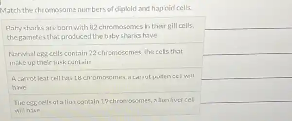 Match the chromosome numbers of diploid and haploid cells.
square 
square 
Baby sharks are born with 82 chromosomes in their gill cells,
the gametes that produced the baby sharks have
Narwhal egg cells contain 22 chromosomes, the cells that
make up their tusk contain
A carrot leaf cell has 18 chromosomes, a carrot pollen cell will
have
The egg cells of a lion contain 19 chromosomes, a lion liver cell
will have
square 
square