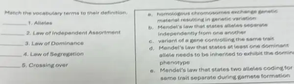 Match the vocabulary terms to their definition.
__ 1. Alleles
__ 2. Law of Independent Assortment
__ 3. Law of Dominance
__ 4. Law of Segregation
__ 5. Crossing over
a. homologous chromosomes exchange gonetic
material resulting in genetic variation
b. Mendel's low that states alleles separate
independently from one another
c. variant of a gane controlling the same trait
d. Mendel's law that states at least one dominant
allele needs to be inherited to exhibit the domin
phenotype
e. Mendel's law that states two alleles coding for
same trait separats during gamete formation