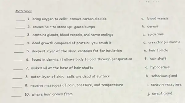 __
Matching:
__ 1. bring oxygen to cells; remove carbon dioxide
__ 2. causes hair to stand up; goose bumps
__ 3. contains glands, blood vessels, and nerve endings
__ 4. dead growth composed of protein; you brush it
__ 5. deepest layer of the skin; contains fat for insulation
__ 6. found in dermis it allows body to cool through perspiration
__ 7. makes oil at the base of hair shafts
__ 8. outer layer of skin; cells are dead at surface
__ 9. receive messages of pain, pressure, and temperature
__ 10. where hair grows from
a. blood vessels
b. dermis
c. epidermis
d. arrector pili muscle
e. hair follicle
f. hair shaft
g. hypodermis
h. sebacious gland
i. sensory receptors
j. sweat gland