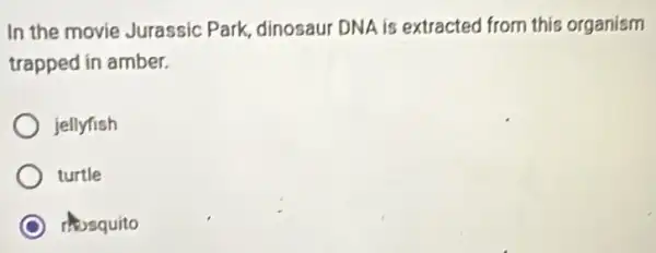 In the movie Jurassic Park, dinosaur DNA is extracted from this organism
trapped in amber.
jellyfish
turtle
thosquito