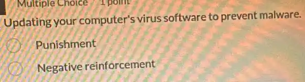 Multiple Choice 1 point
Updating your computer's virus software to prevent malware.
Punishment
Negative reinforcement