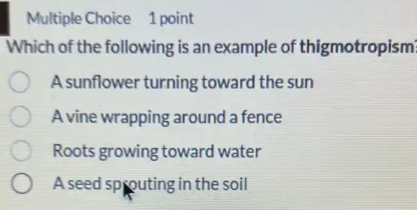 Multiple Choice 1 point
Which of the following is an example of thigmotropism
A sunflower turning toward I the sun
A vine wrapping around a fence
Roots growing toward water
A seed sprouting in the soil