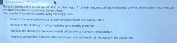 Multiple Choice 20 points
The giant octopus lays 20 ,000 to 100.000 fertilized eggs. After hatching, most octopuses become prey to larger marine organisms, and
less than 5%  will reach adulthood to reproduce.
One benefit of the giant octopus laying many eggs is to-
increase the average body size for surviving individuals to avoid predation
decreases the likelihood of offspring being consumed by predators
increase the chance that more individuals will survive tomaintain the population
decrease competition between different octopus species to maintain resources in the population