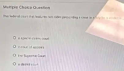 Multiple Choice Question
The federal court that fealures two sldes presenting a case to a fury for a verdictis
A B special cleims court
c court of appeals
Ine Supreme Court
a district court