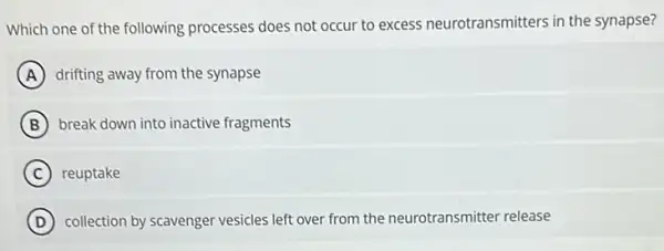 Which one of the following processes does not occur to excess neurotransmitters in the synapse?
A drifting away from the synapse
B break down into inactive fragments
C reuptake
D collection by scavenger vesicles left over from the neurotransmitter release