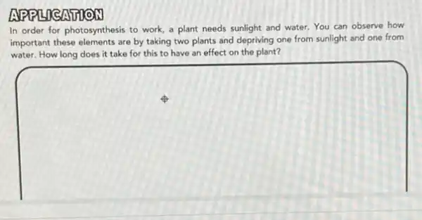 In order for photosynthesis to work, a plant needs sunlight and water You can observe how
important these elements are by taking two plants and depriving one from sunlight and one from
water. How long does it take for this to have an effect on the plant?
square