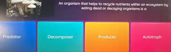 An organism that helps to recycle nutrients within an ecosystem by
eating dead or decaying organisms is a:
Predator
Decomposer
Producer
Autotroph