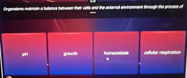 Organsisms molntoln a balance between their calls and the enternal environment the a
PH
growth
homeostosis
cellulor respiration