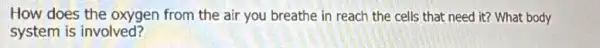 How does the oxygen from the air you breathe in reach the cells that need it? What body
system is involved?