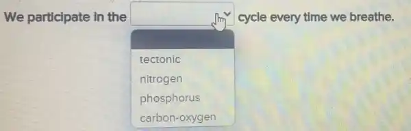 We participate in the
square 
cycle every time we breathe.
tectonic
nitrogen
phosphorus