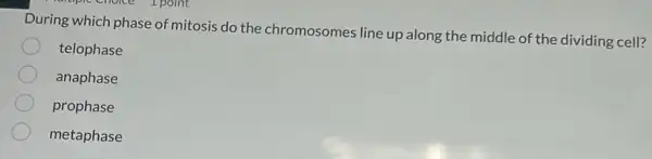 During which phase of mitosis do the chromosomes line up along the middle of the dividing cell?
telophase
anaphase
prophase
metaphase