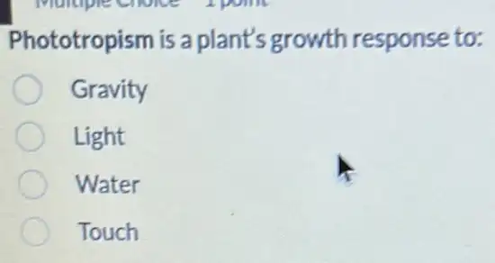 Phototropism is a plant's growth response to:
Gravity
Light
Water
Touch