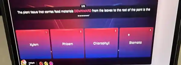 The plant dasue that comio food motorials DOWNWARD from the leaves to the rest of the post to the
xylem
Phloom
Chlorophyll
Stomata