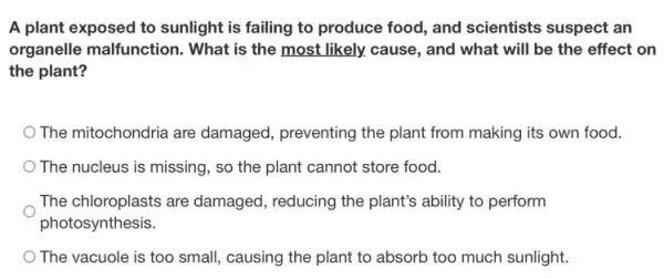 A plant exposed to sunlight is failing to produce food, and scientists suspect an
organelle malfunction . What is the most likely,cause, and what will be the effect on
the plant?
The mitochondria are damaged, preventing the plant from making its own food.
The nucleus is missing , so the plant cannot store food.
The chloroplasts are damaged, reducing the plant's ability to perform
photosynthesis.
The vacuole is too small, causing the plant to absorb too much sunlight.