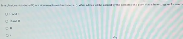 In a plant, round seeds (R) are dominant to wrinkled seeds (r) What alleles will be carried by the gametes of a plant that is heterozygous for seed
Rand
R and R
R
r