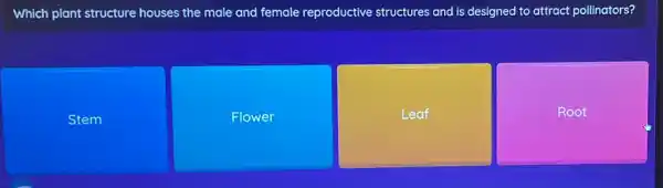 Which plant structure houses the male and female reproductive structures and is designed to attract pollinators?
Stem
Flower
Leaf
square  t